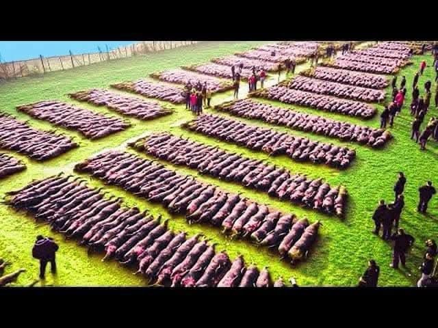 Drone Footage Reveals