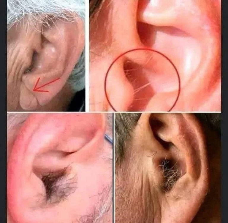 DID YOU KNOW..
