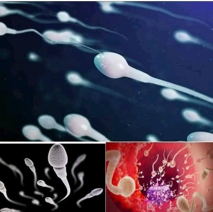 !!! Studies reveal