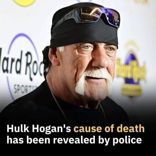 Wrestling Icon Hulk Hogan