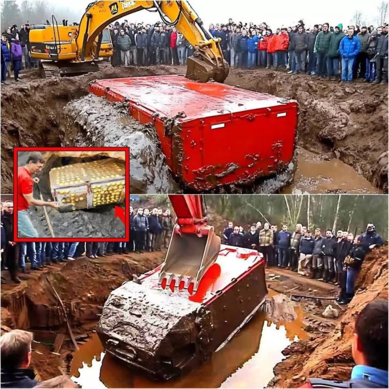 THEY FOUND IT.