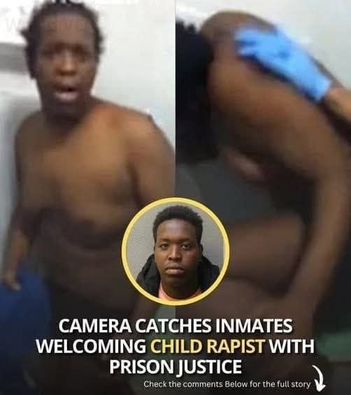 Camera Captures