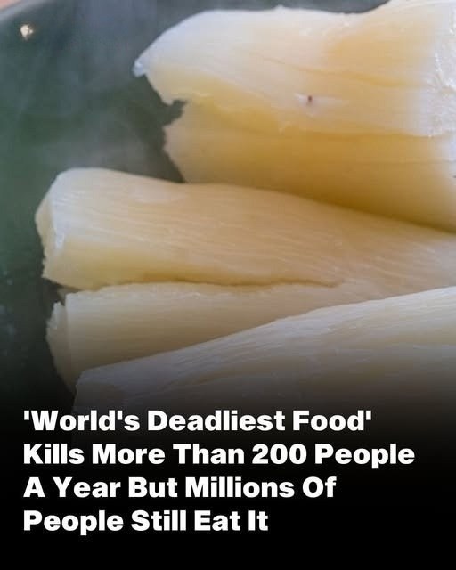 The ‘world’s deadliest food’ claims over 200 lives every year,