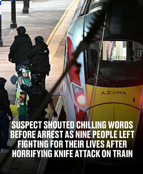 Suspect shouted chilling words before arrest as nine people left fighting for their lives after horrifying knife attack on train