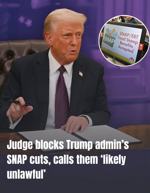 Federal judge rules Trump admin’s SNAP benefits cutoff ‘likely unlawful’