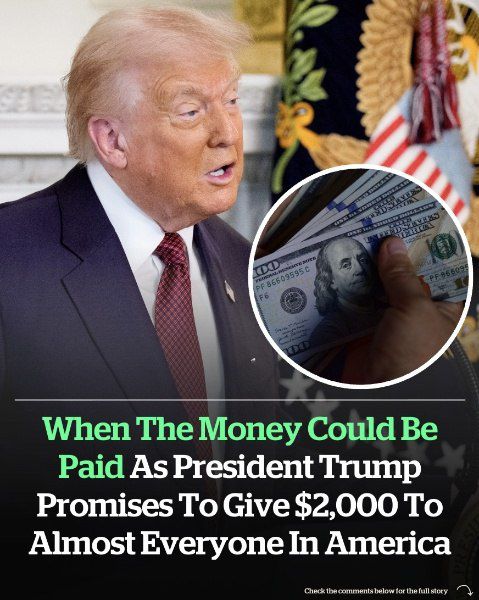 Trump’s Tariff Dividend