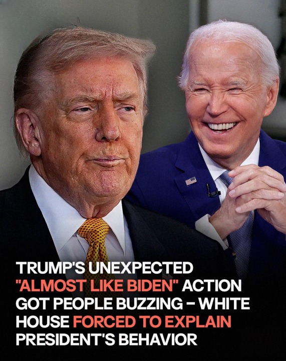 White House Reacts to Confusing Donald Trump Moment During the Meeting