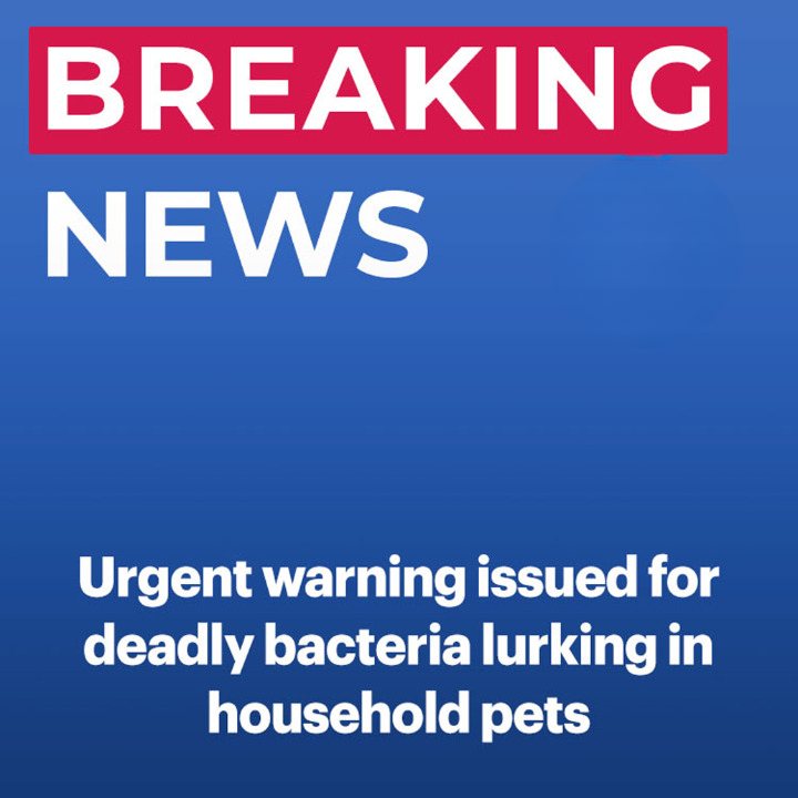 Health officials warn of deadly bacteria lurking in household pets after 1 death and 6 hospitalizations