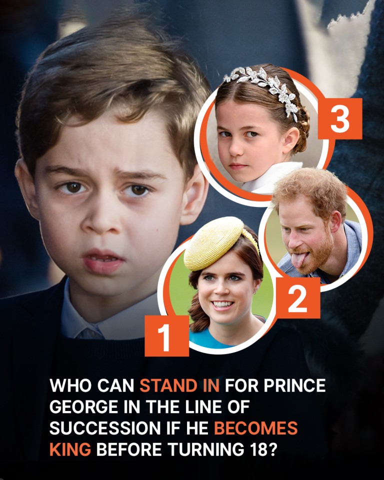 What Would Happen If Prince George, Who Just Turned 11, Was Too Young to Become King?