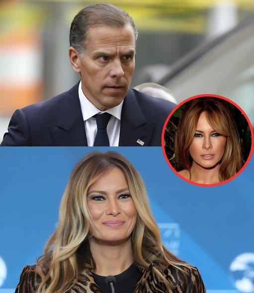 When Hunter Biden fired off an insult