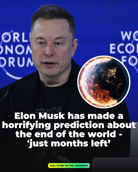 The world may have just months left, Elon Musk warns in a frightening prediction