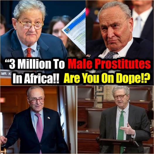 Sen. Kennedy PUBLICLY HUMILIATES Schumer